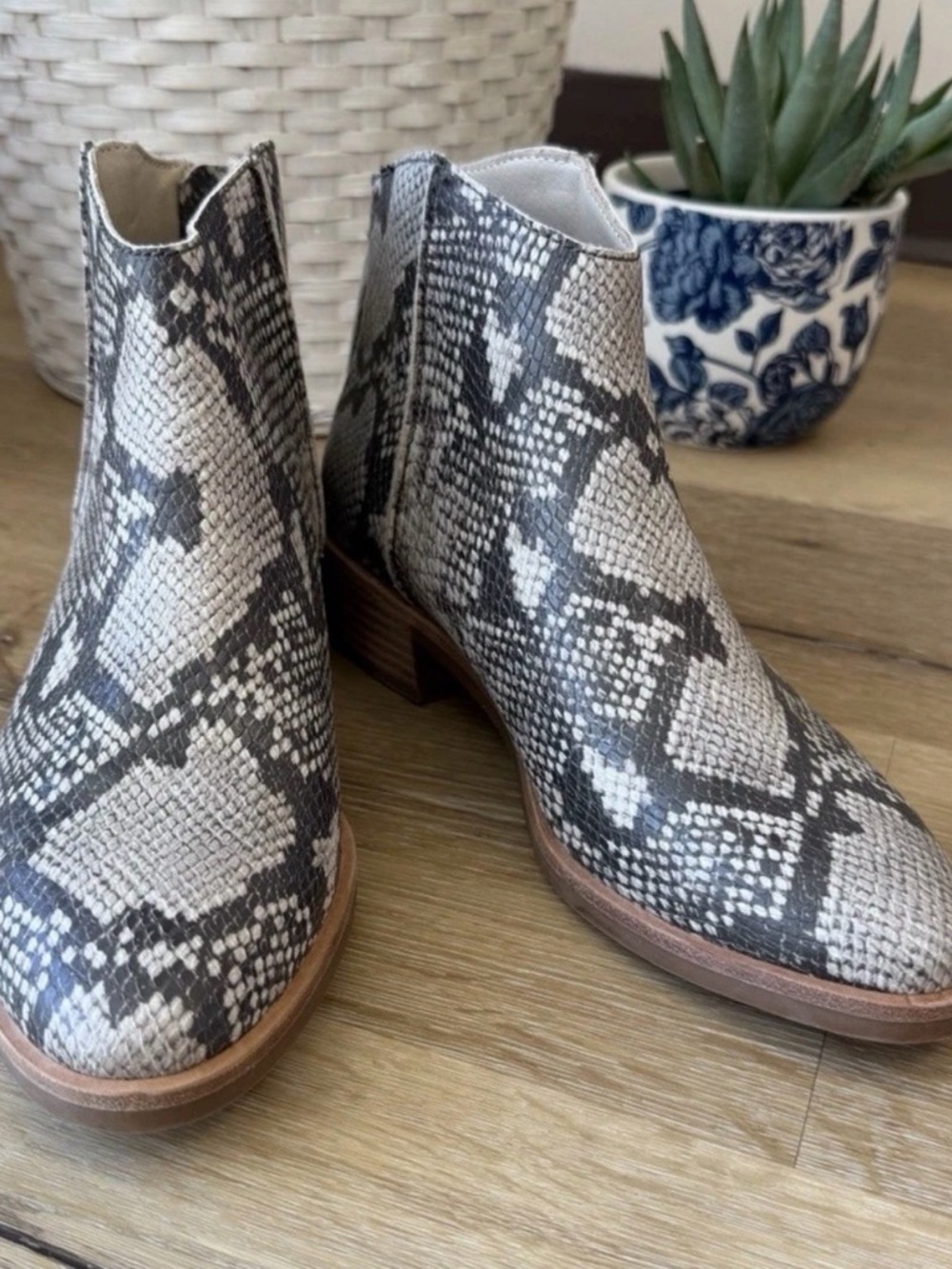 Dolce Vita Snake-Print Ankle Booties in Gray and White